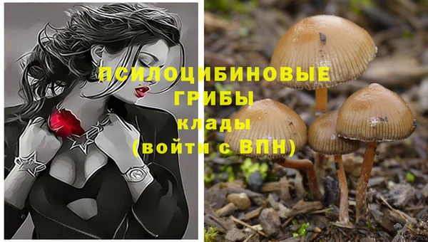 дживик Аркадак