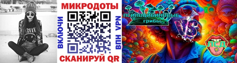 KRAKEN ONION  Оха  Галлюциногенные грибы Cubensis 